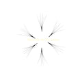Promade 6D Camilla Loose Fans