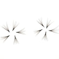 Promade 10D Camilla Loose Fans